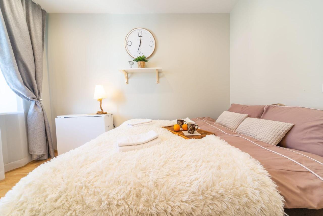 Valdemara Design In Center Apartment